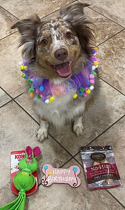 Riley's 4th birthday!